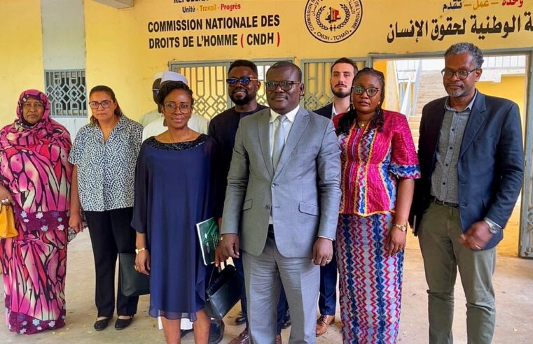 Justice transitionnelle : l’Union africaine et la CNDH s’allient pour la paix au Tchad
