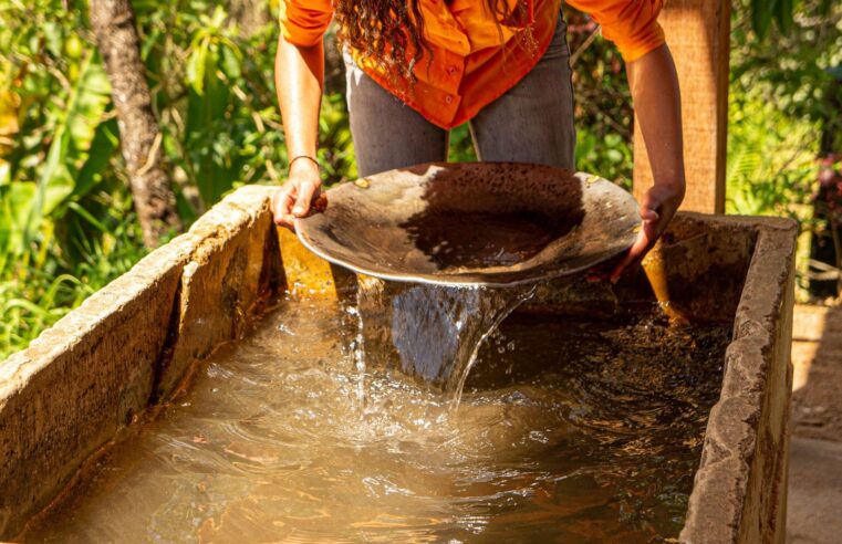 Sonamines renforce la régulation des mines d&rsquo;or au Cameroun