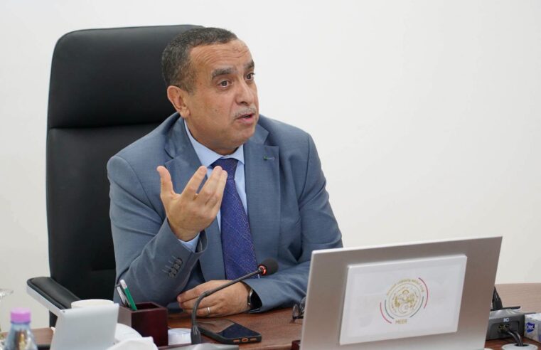 Adjal annonce la construction d&rsquo;une centrale électrique de 40 mw à N&rsquo;Djamena