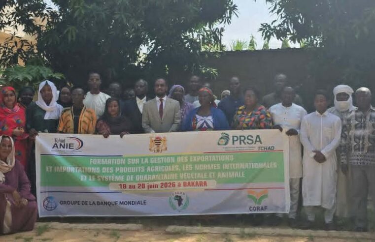 Le Tchad renforce ses compétences pour dynamiser les exportations agricoles