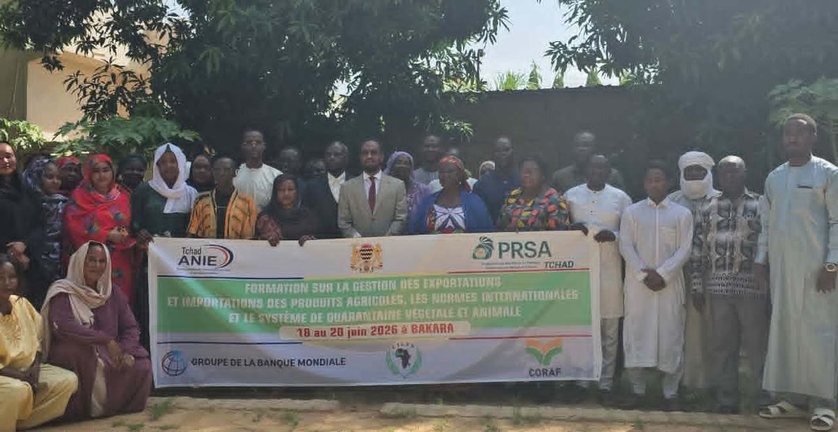 Le Tchad renforce ses compétences pour dynamiser les exportations agricoles