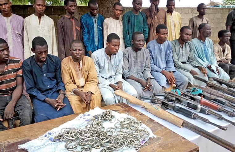 Nigeria : près de 10 000 ex-combattants de Boko Haram réinsérés dans la société