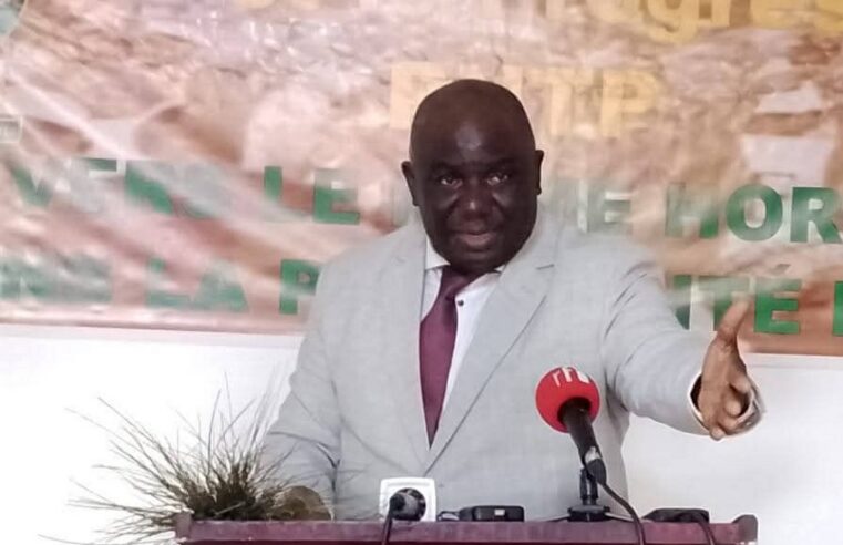 Gabon : les défis de l&rsquo;application des réformes politiques