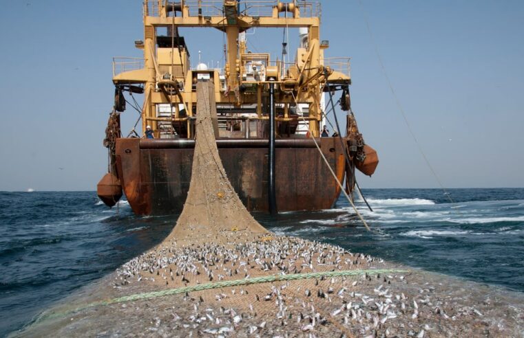 Gabon: fin de l’accord de pêche avec l’Union européenne