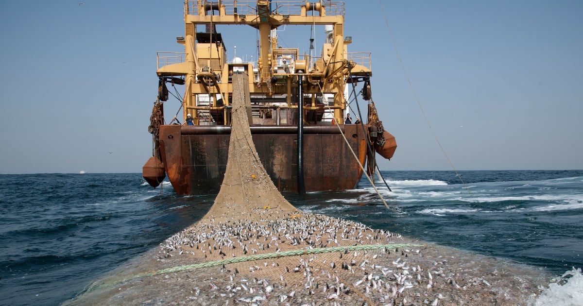 Gabon: fin de l’accord de pêche avec l’Union européenne