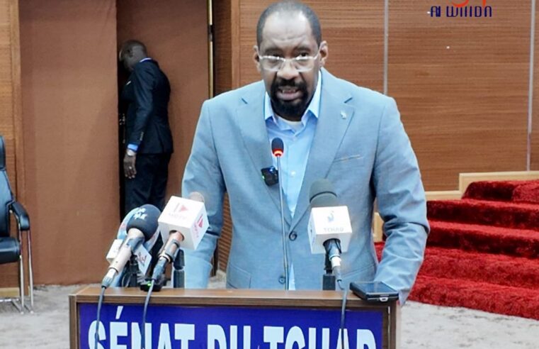 Le ministre de la sécurité du Tchad face aux sénateurs : défis et stratégies contre l&rsquo;insécurité