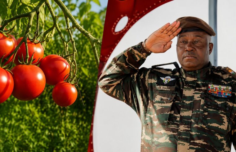 Souveraineté illusoire : quand le Niger mise sur Rome pour sa filière tomate