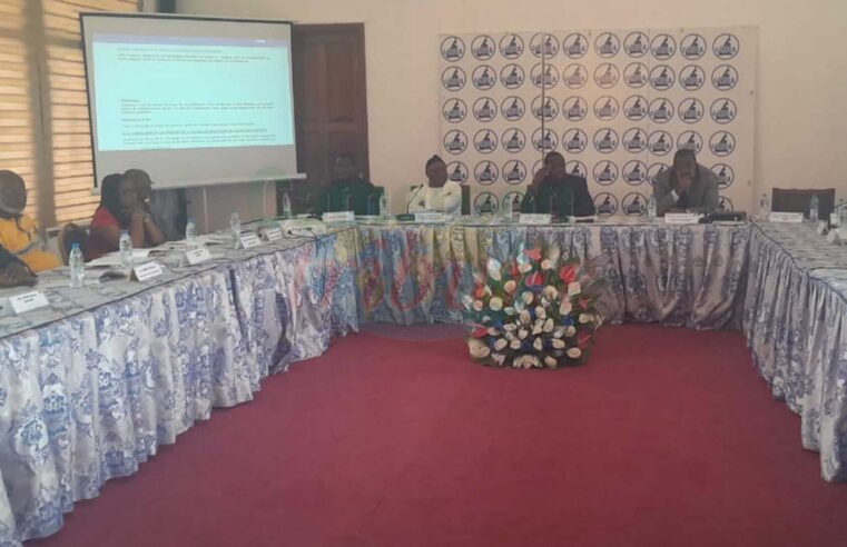Dialogue public-privé pour influencer le budget camerounais 2027