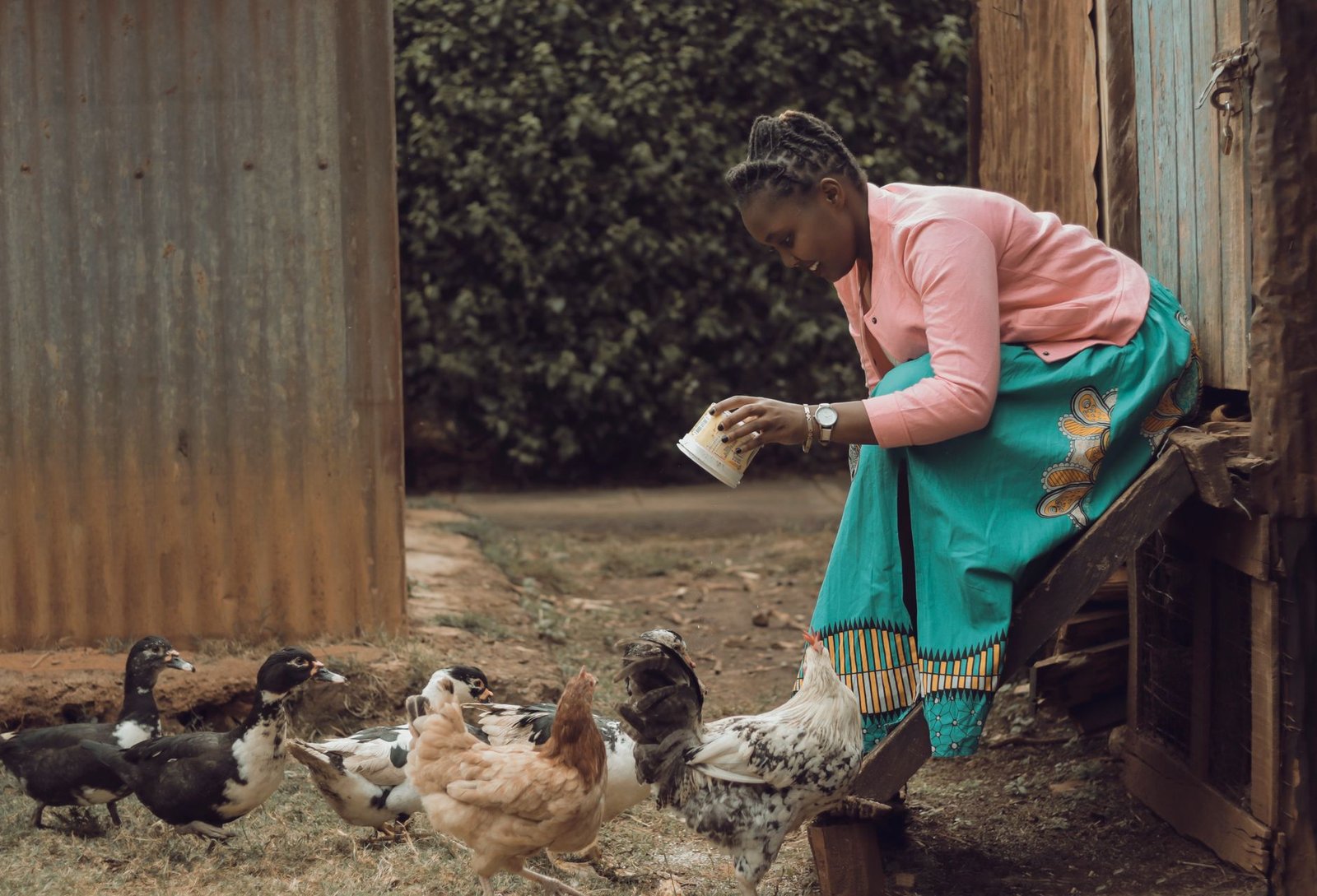 Sonoco ambitionne de révolutionner l&rsquo;aviculture au Gabon avec 15 millions de poulets par an