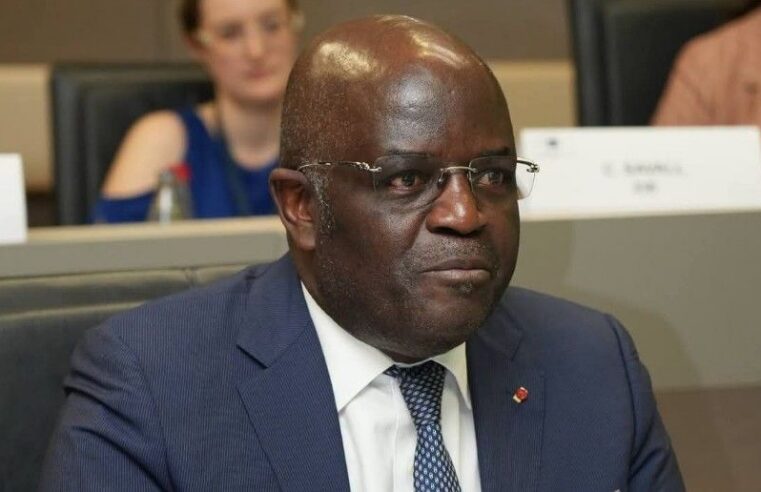 Gabon : vers une révolution industrielle par la transformation locale des ressources