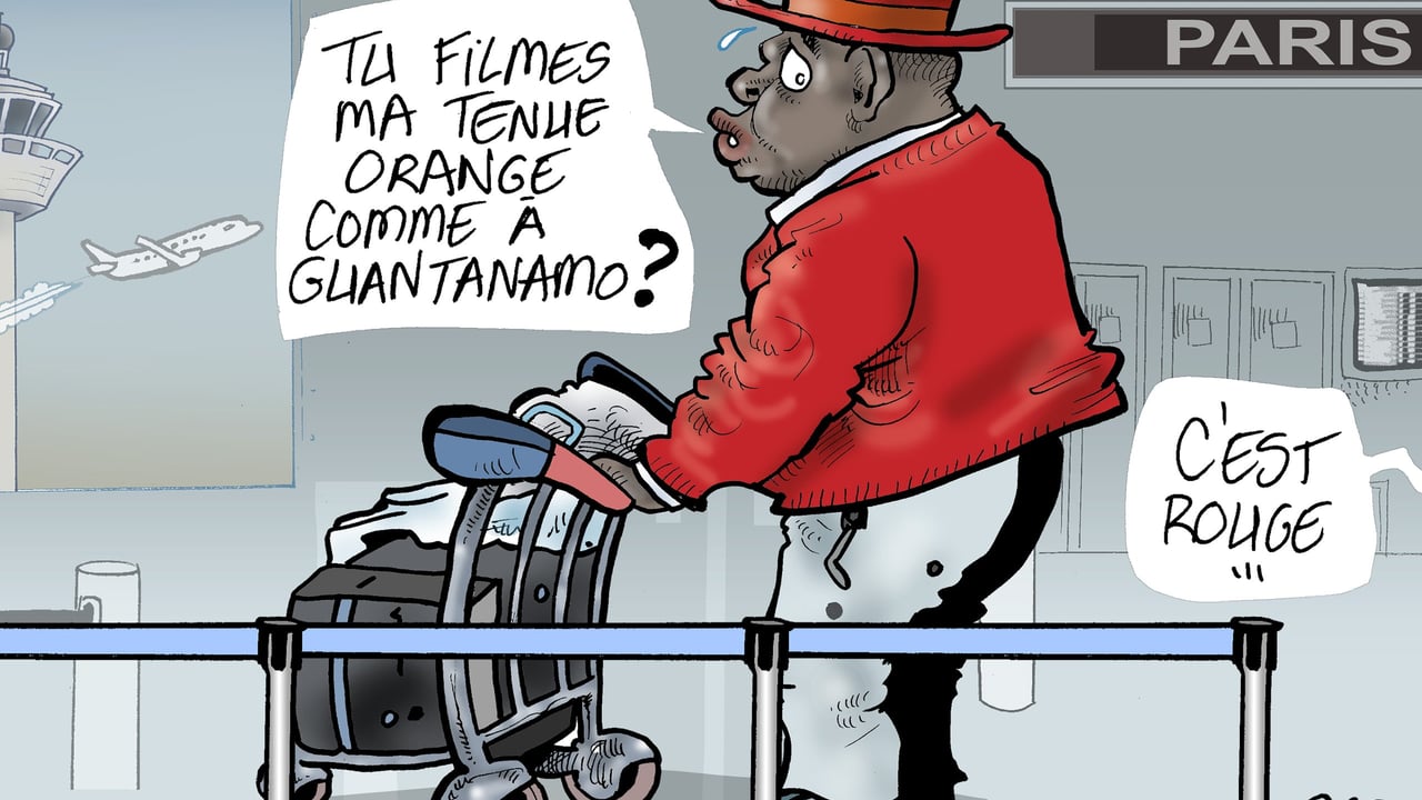 Le retour de Longuè Longuè à Yaoundé fait parler