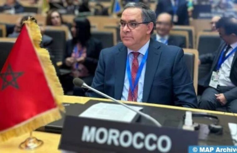 Le Maroc ancre l&rsquo;action humanitaire au cœur de sa politique africaine