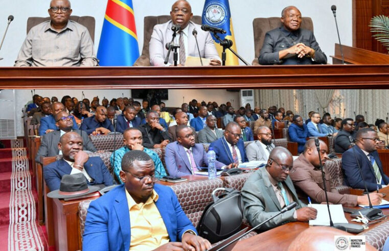 Contrôle systémique de l&rsquo;IGF dans le secteur minier congolais