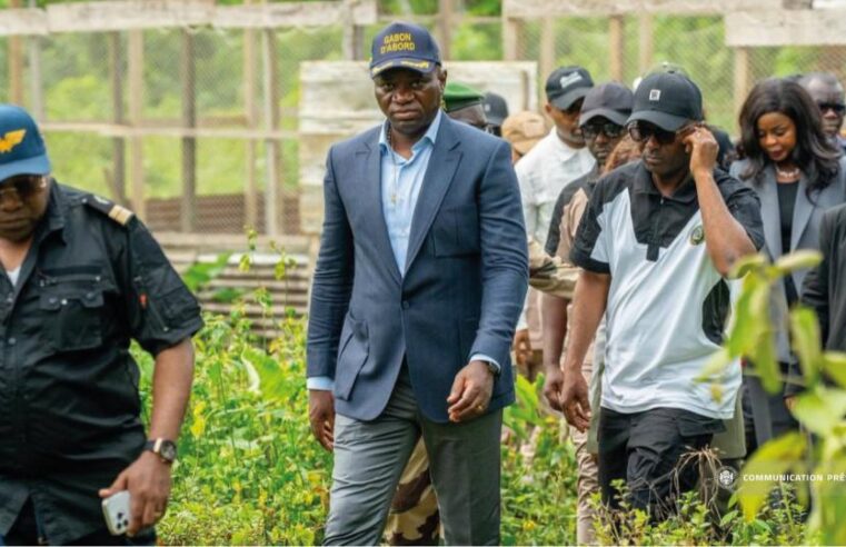 Gabon : Oligui Nguema lance la bataille de l’indépendance agricole avec 25 milliards de FCFA