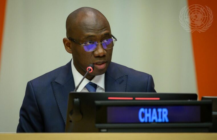 Le Sénégal à la tête d&rsquo;une commission clé de l&rsquo;ONU pour la diplomatie mondiale