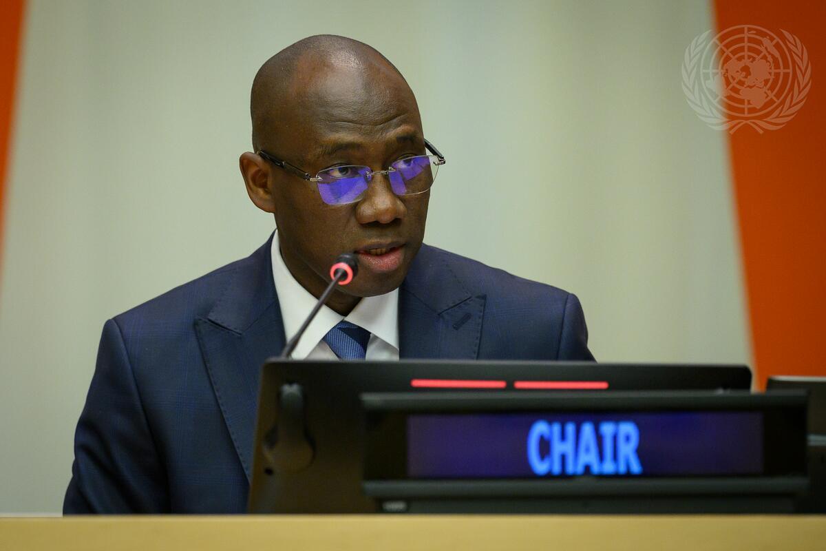 Le Sénégal à la tête d&rsquo;une commission clé de l&rsquo;ONU pour la diplomatie mondiale