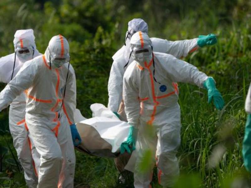 Japon : 3 millions de dollars contre l&rsquo;épidémie d&rsquo;ebola en rdc