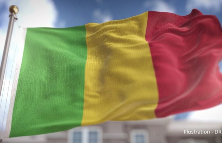 Un agent français écope de 20 ans de prison au Mali pour atteinte à la sûreté de l’État
