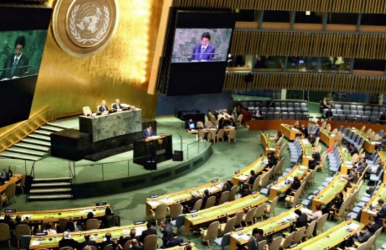Le Gabon à l&rsquo;ONU : une victoire diplomatique historique