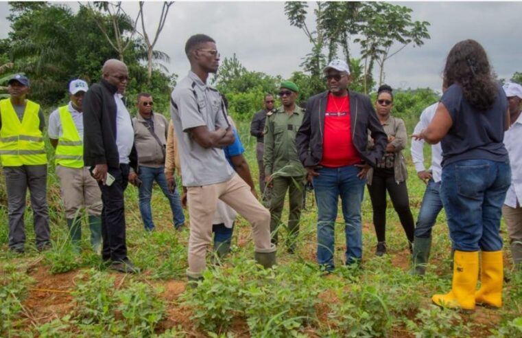 Gabon : comment la science booste l&rsquo;autonomie alimentaire du pays