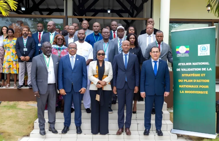 Le Gabon adopte une feuille de route pour protéger sa biodiversité exceptionnelle