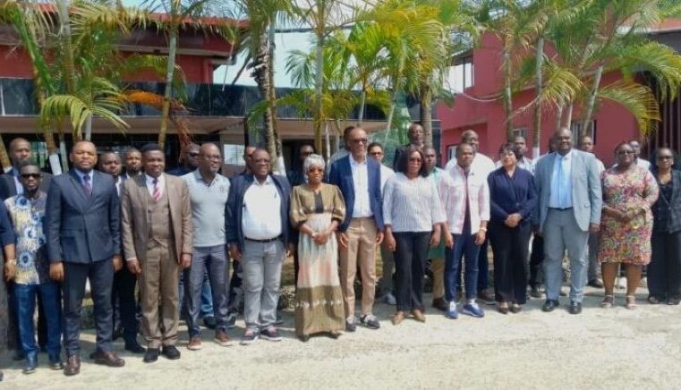Le Gabon s&rsquo;engage dans la transformation numérique de ses services publics