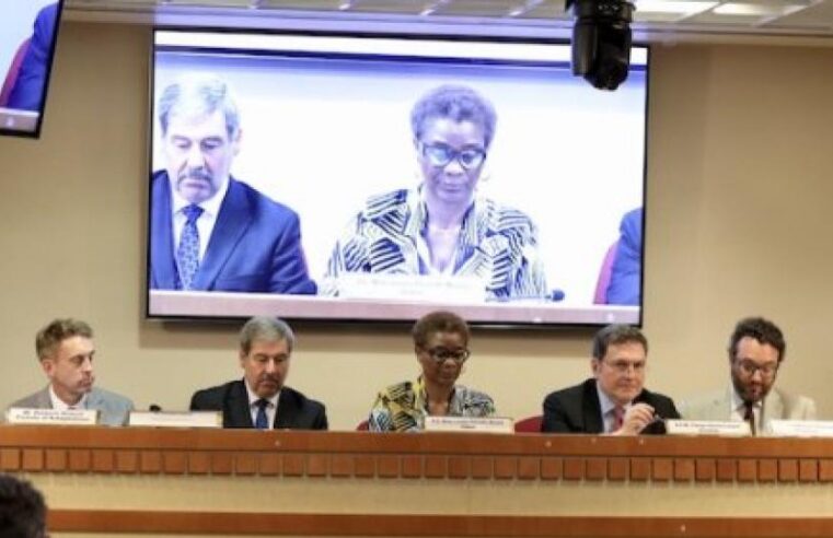 Le Gabon appelle à une refonte des financements climatiques depuis new york
