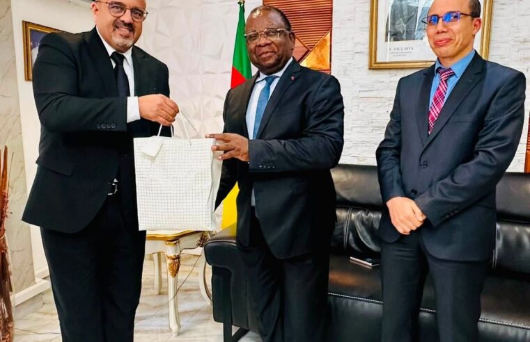 Coopération économique Cameroun-Algérie : nouveaux horizons pour les échanges