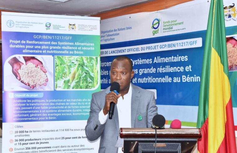 Bénin : le projet « Food Systems » pour sauver les sols et l&rsquo;agriculture nationale