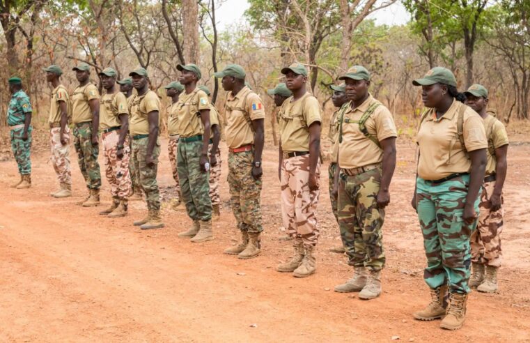 Tchad : les agents des eaux et forêts interdits de porter des insignes militaires