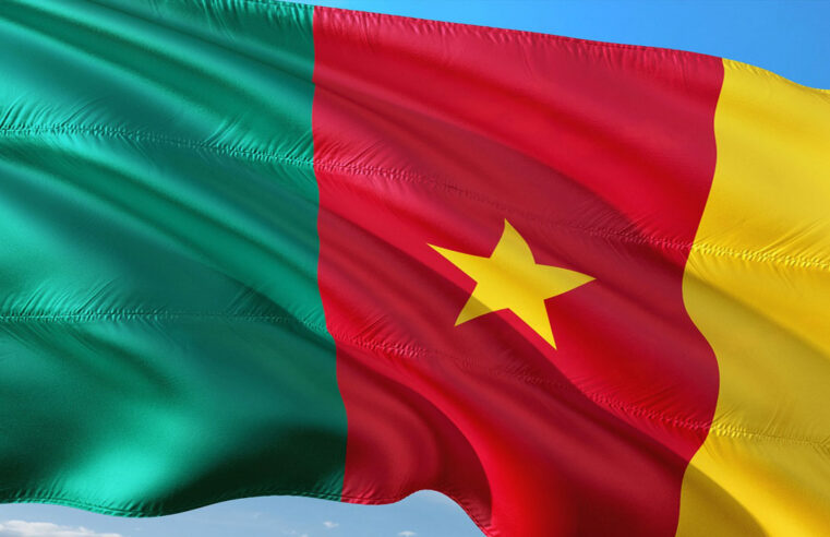 Le Cameroun et l&rsquo;exemption de visa en Afrique : comprendre les freins