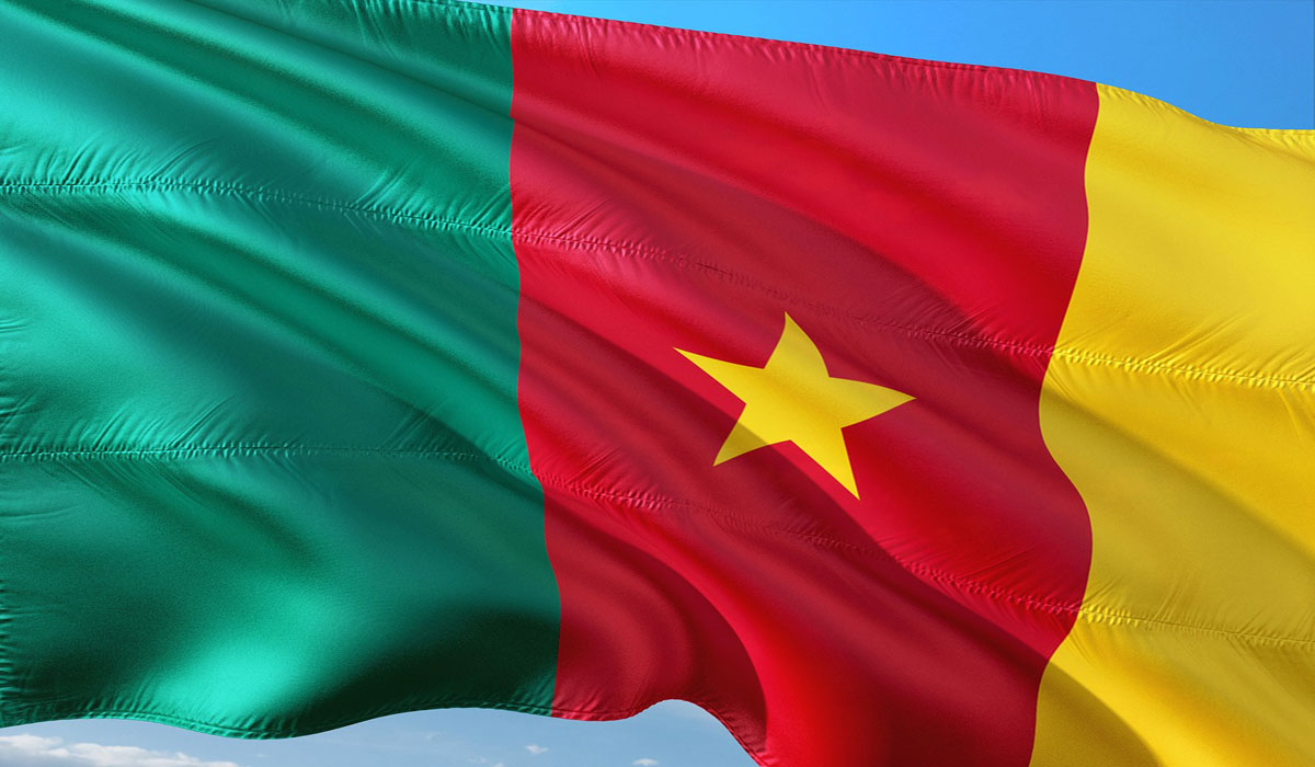 Le Cameroun et l&rsquo;exemption de visa en Afrique : comprendre les freins