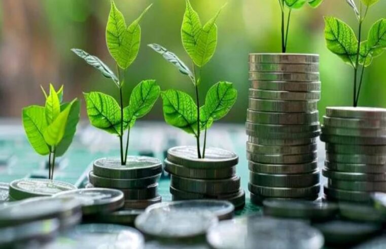 Maroc : une taxonomie verte pour booster l&rsquo;économie décarbonée