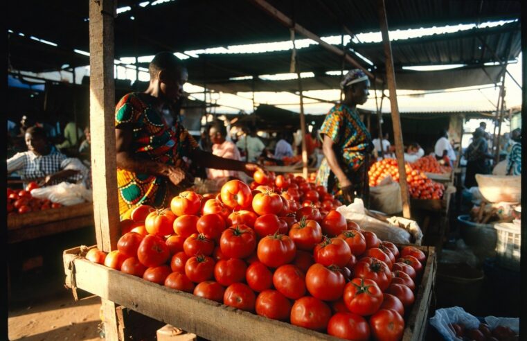 Niamey : prix des légumes en flèche, les causes d&rsquo;une crise évitable