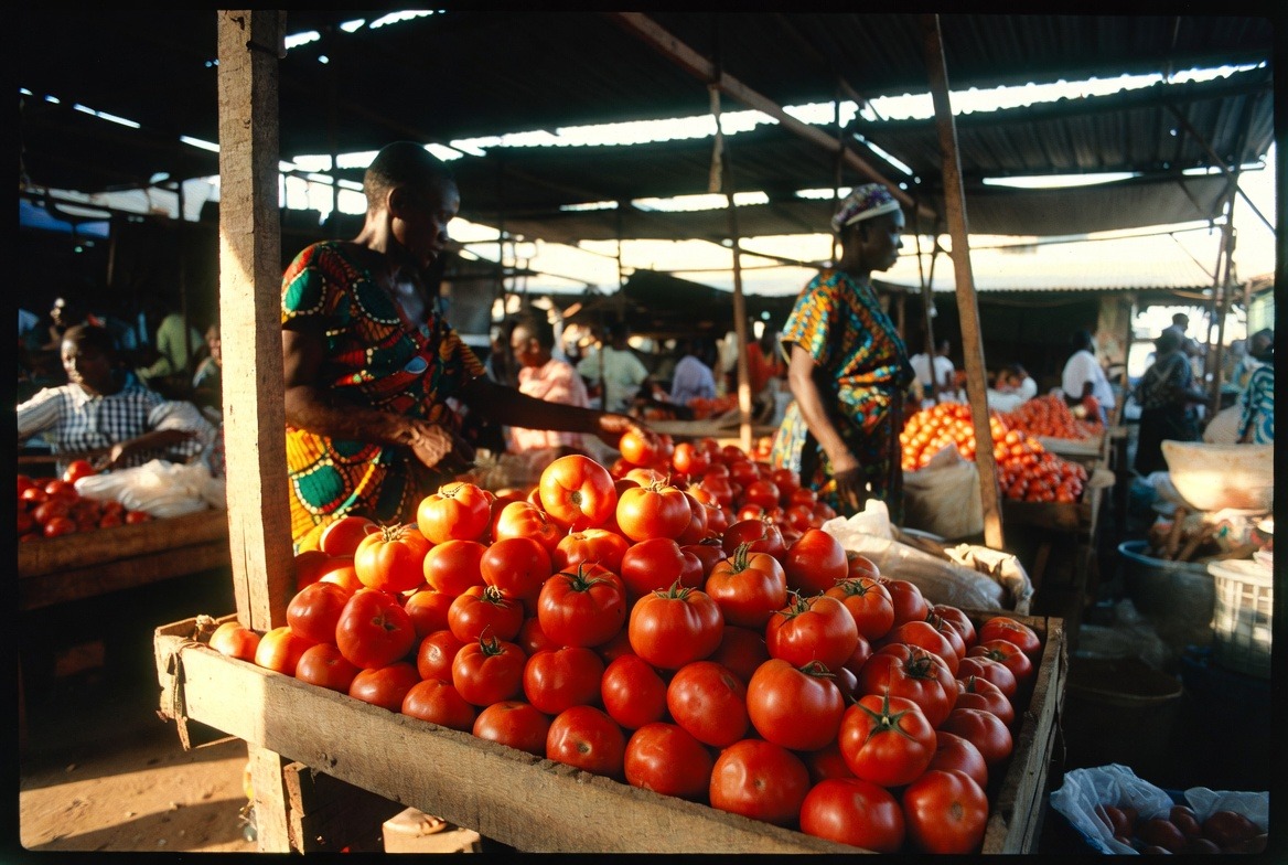 Niamey : prix des légumes en flèche, les causes d&rsquo;une crise évitable