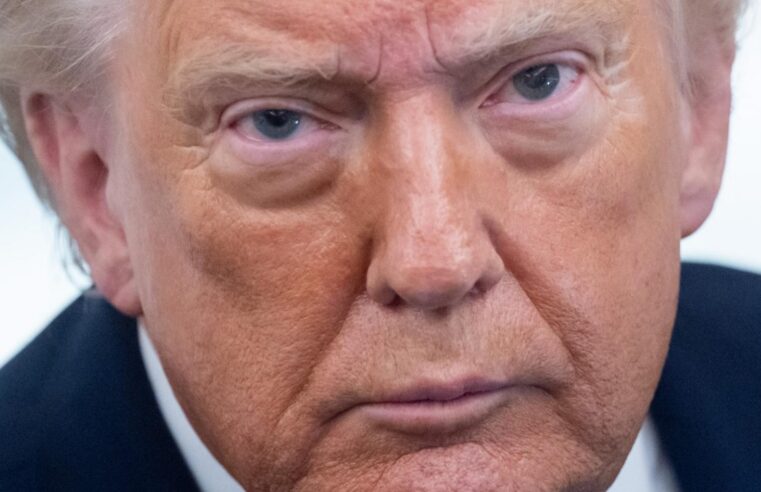 Trump envisage des frappes au Mali contre le terrorisme jihadiste