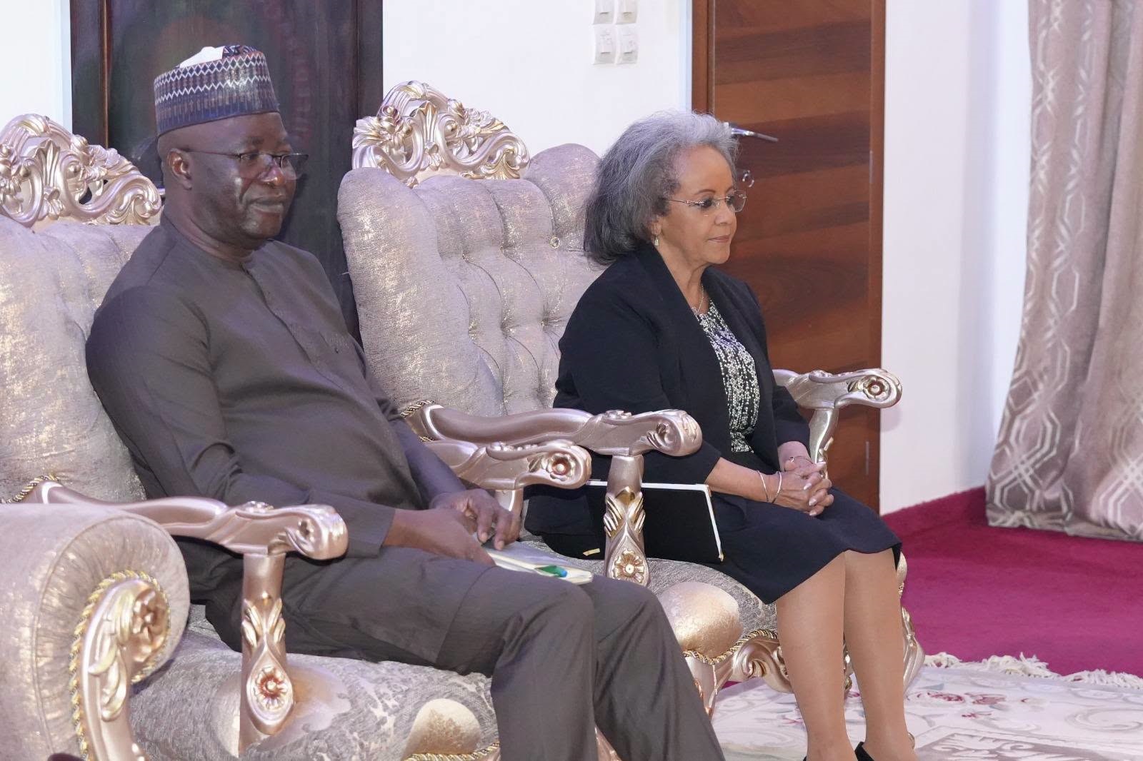 Conseil Consultatif de la Refondation du Niger