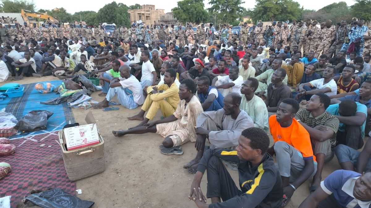 N&rsquo;Djamena : un coup de filet majeur contre la criminalité avec 252 arrestations