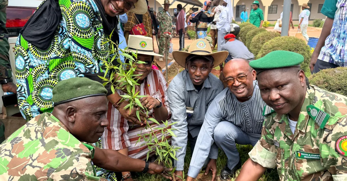 Mali : l&rsquo;unesco s&rsquo;engage pour une campagne de reboisement ambitieuse avec la jeunesse