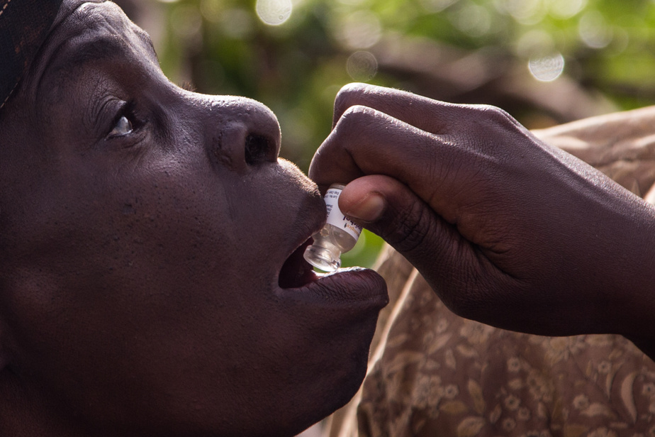 Épidémie de choléra au Tchad : bilan humain et mesures sanitaires