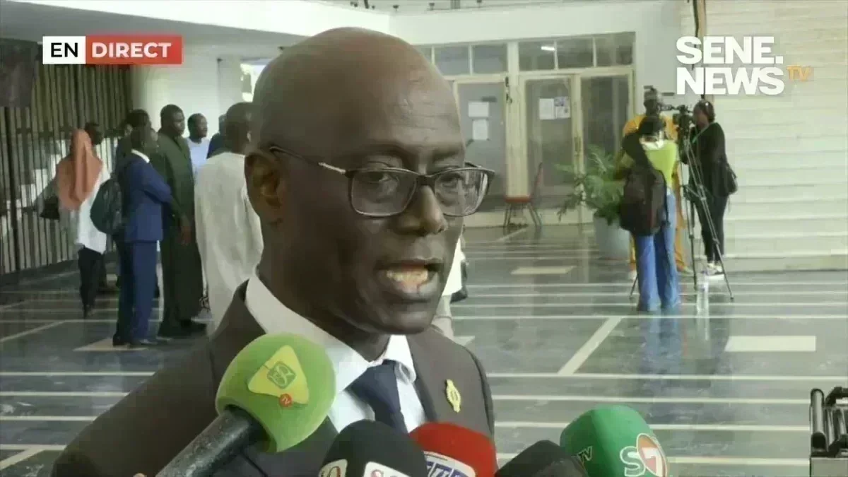 Session extraordinaire : Thierno Alassane Sall lève le voile sur des faits inédits concernant Sonko Thierno Alassane Sall s'exprime lors de la session extraordinaire sur Ousmane Sonko