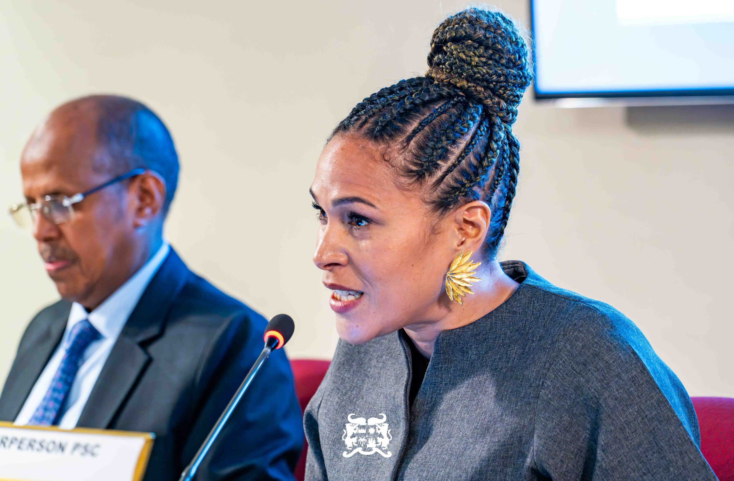 Réunion ministérielle du CPS de l'Union africaine à New York